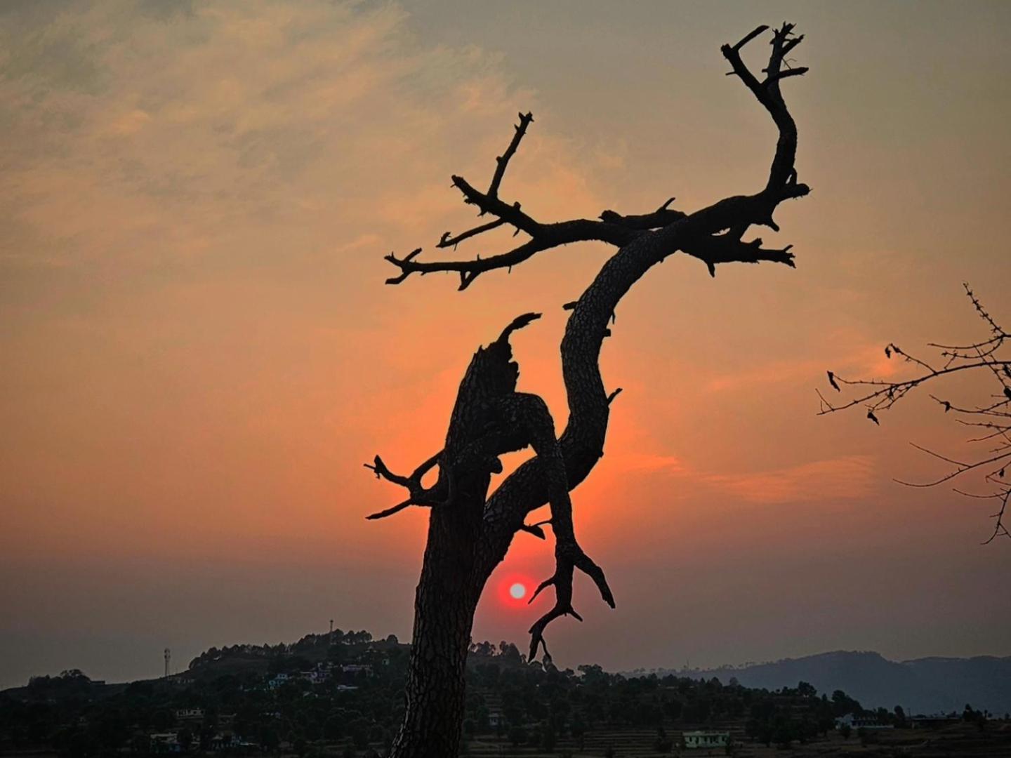 Katyuri Kings Divine Stay- Babaji'S Cave Dwarahat Buitenkant foto